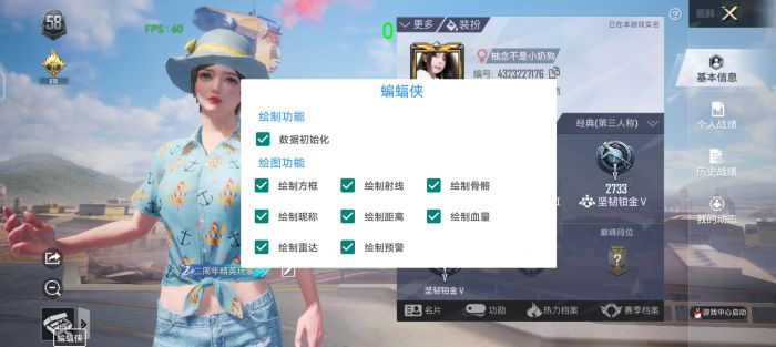 和平精英小飞机辅助怎么开（和平精英小飞机载具怎么开）
